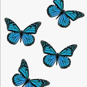 Meet your Posher, Claudia